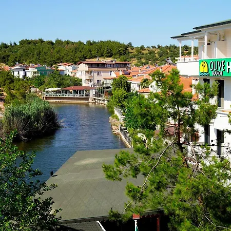 Olive Branch Ayvalik