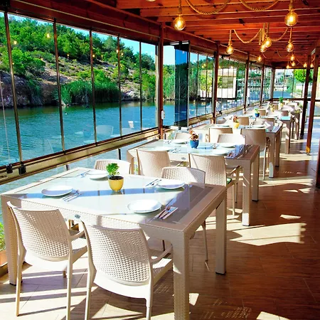 Olive Branch * Ayvalik