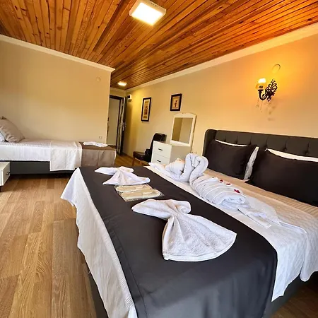 Hotell Olive Branch