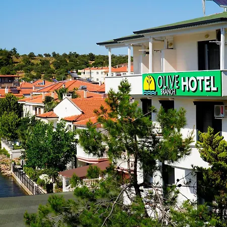 Otel Olive Branch