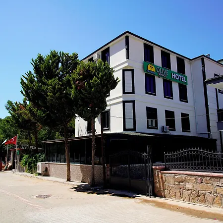 Olive Branch Hotel *