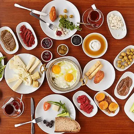 Olive Branch Ayvalı