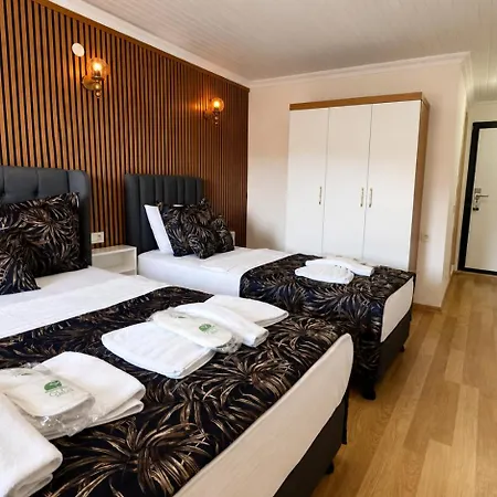 Hotell Olive Branch