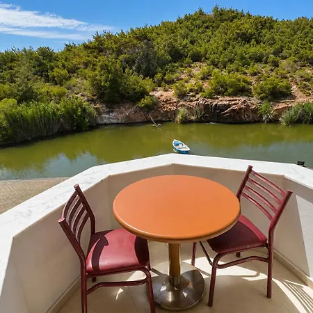 Olive Branch *
