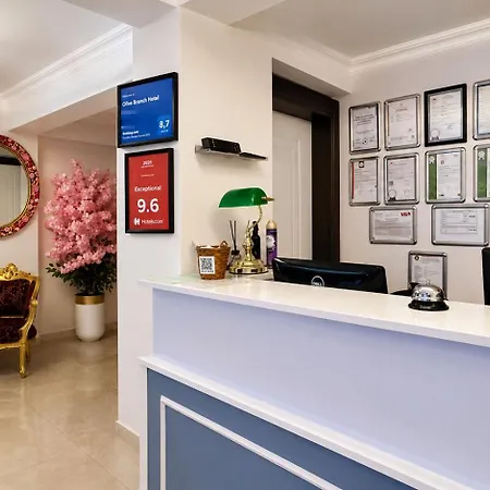 Olive Branch Hotell *