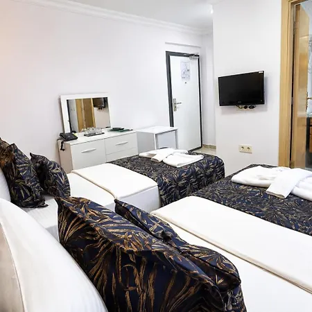 Hotell Olive Branch *