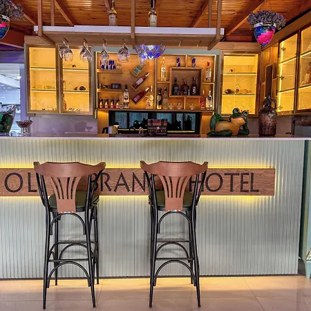 Hotel Olive Branch