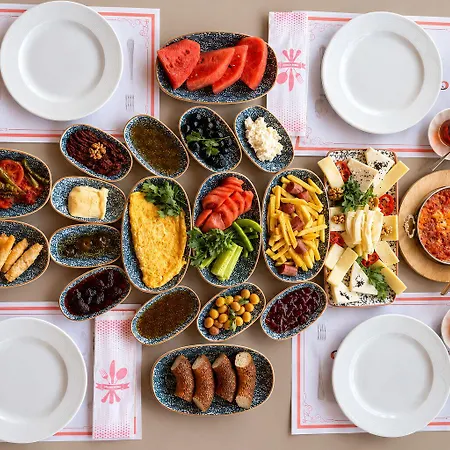 Olive Branch Ayvalik
