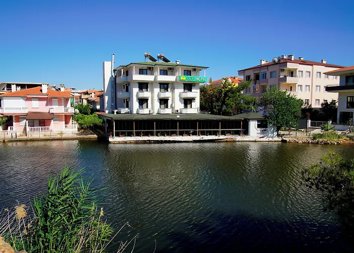 Olive Branch Ayvalı