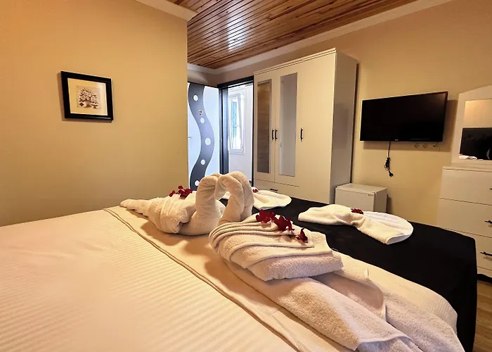 Olive Branch 호텔 Ayvalı